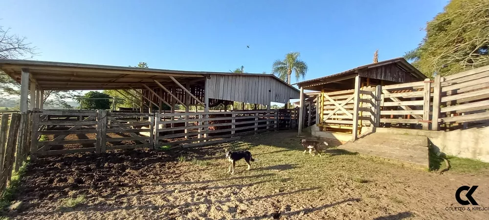 Fazenda, 73 hectares - Foto 17