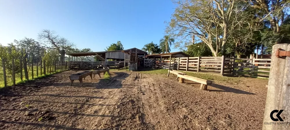 Fazenda, 73 hectares - Foto 20