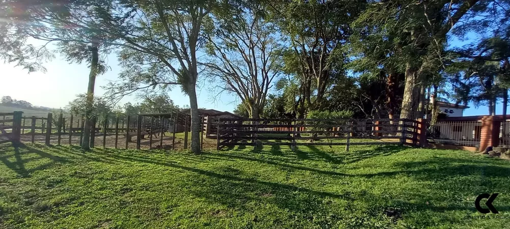 Fazenda, 73 hectares - Foto 16