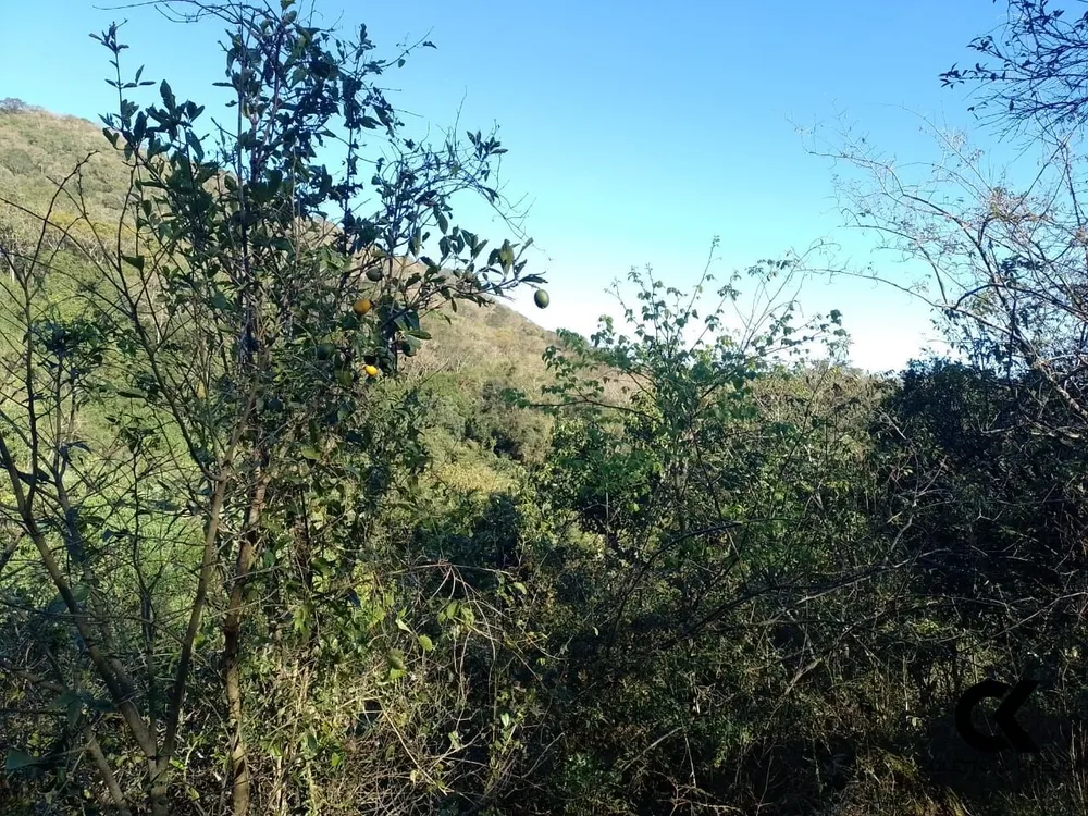 Fazenda, 64 hectares - Foto 3