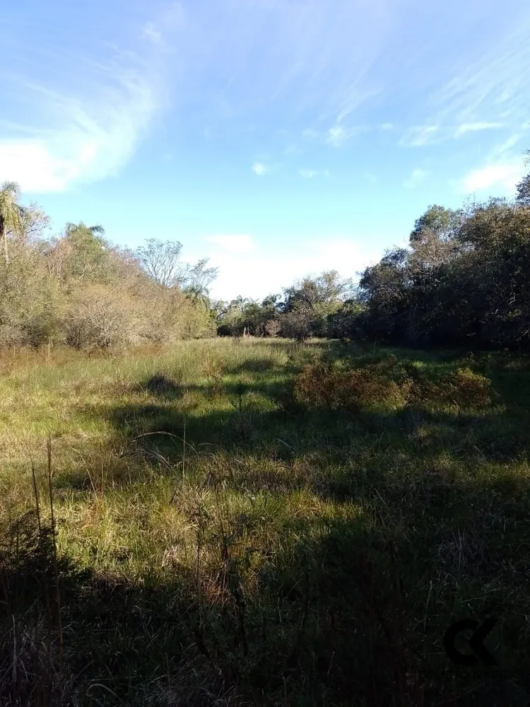 Fazenda, 64 hectares - Foto 1
