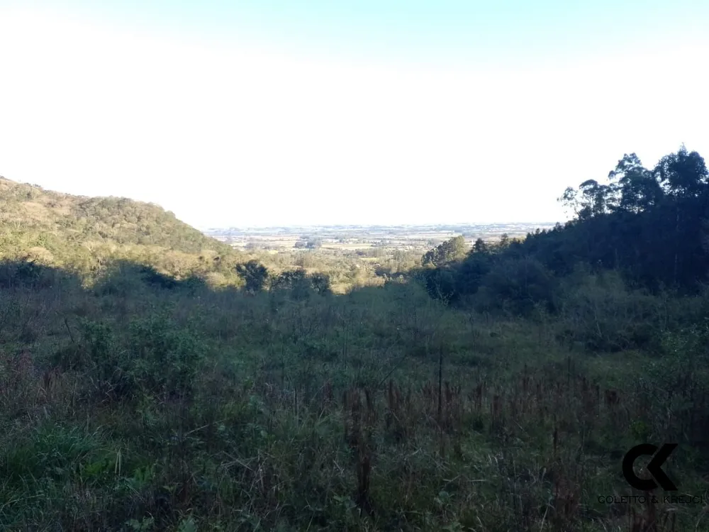 Fazenda, 64 hectares - Foto 4
