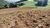 Loteamento e Condomínio, 300 m² - Foto 3