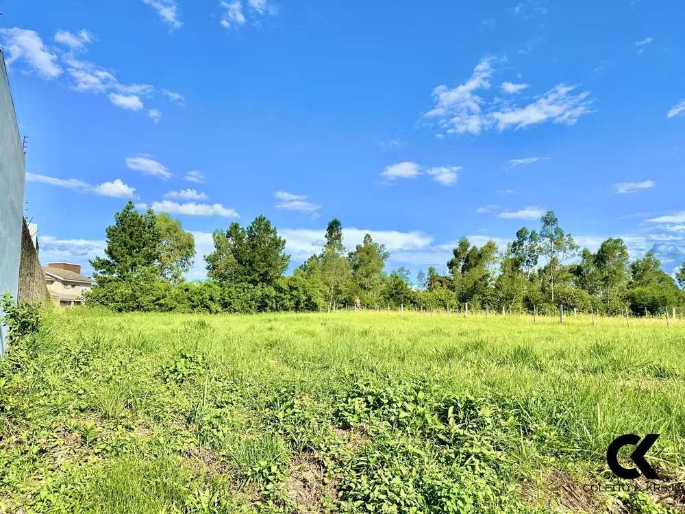 Terreno à venda, 767m² - Foto 4