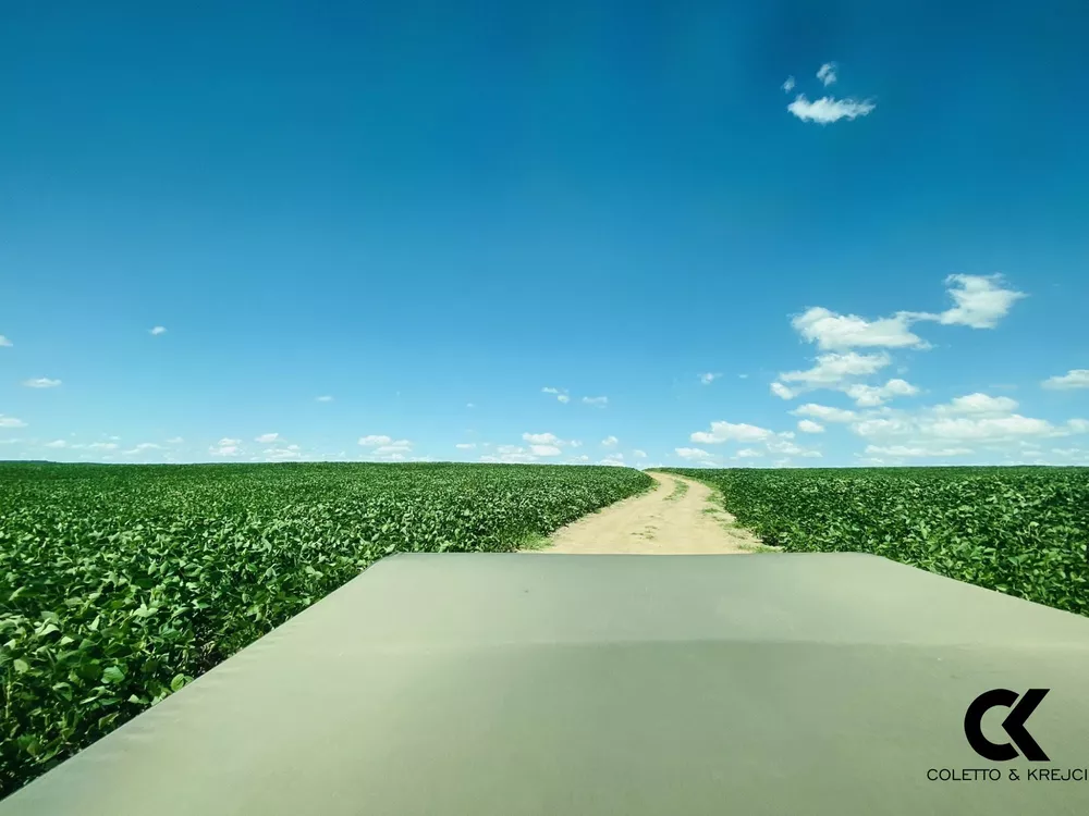 Fazenda, 875 hectares - Foto 7