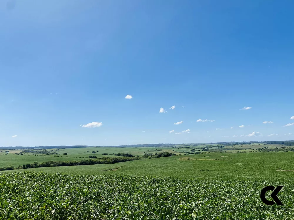Fazenda, 875 hectares - Foto 8