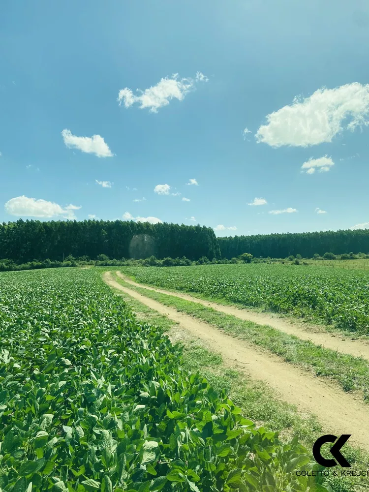 Fazenda, 875 hectares - Foto 6