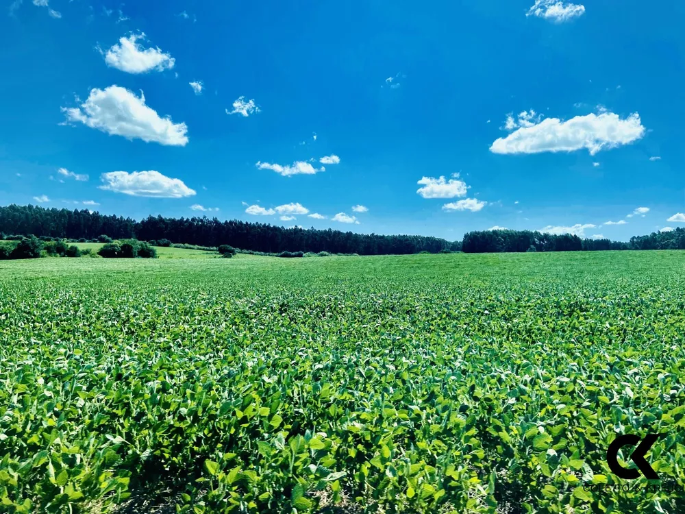 Fazenda, 875 hectares - Foto 1