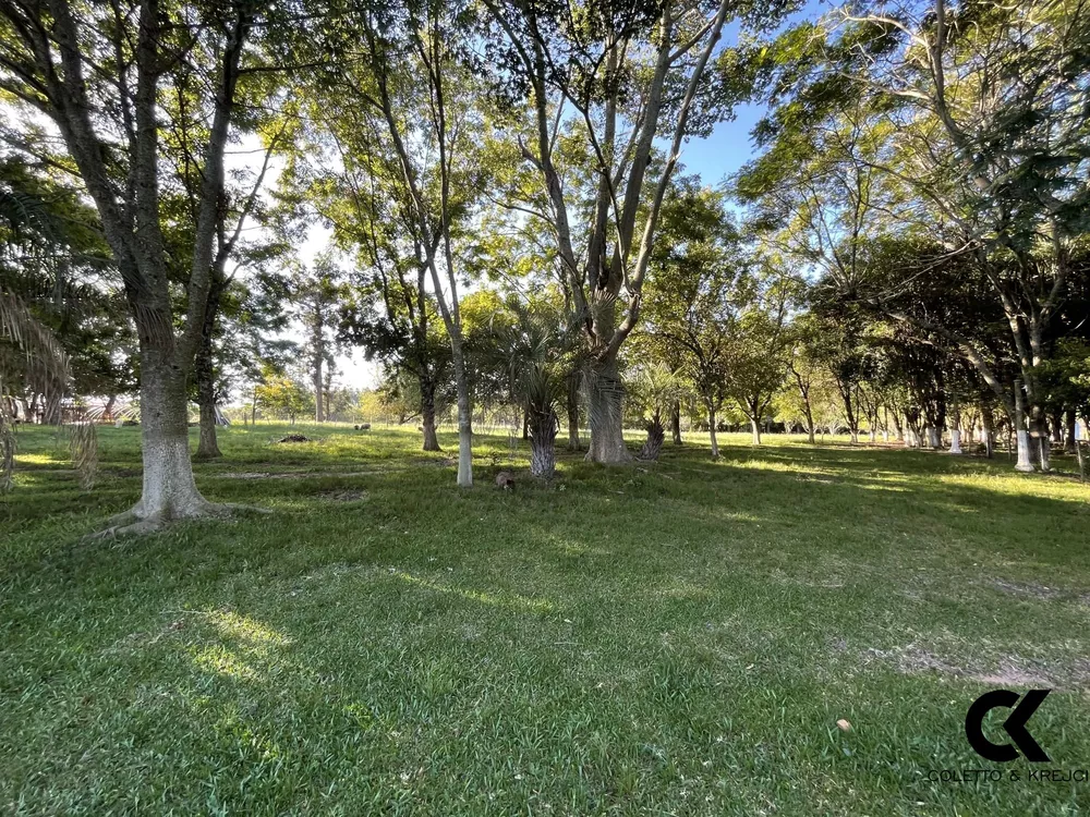 Sítio, 3 quartos, 15 hectares - Foto 4