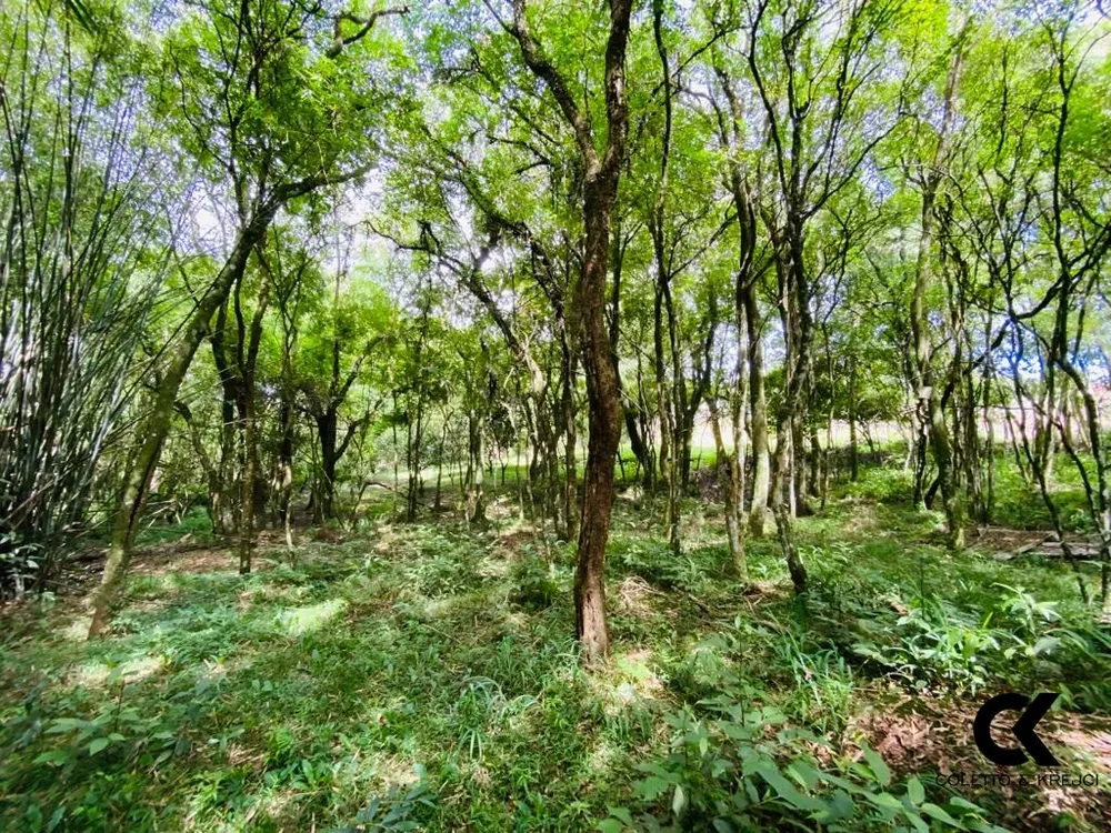 Chácara, 3 quartos, 5000 m² - Foto 7