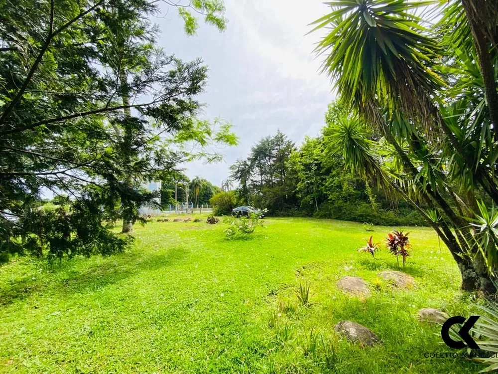 Chácara, 3 quartos, 5000 m² - Foto 2