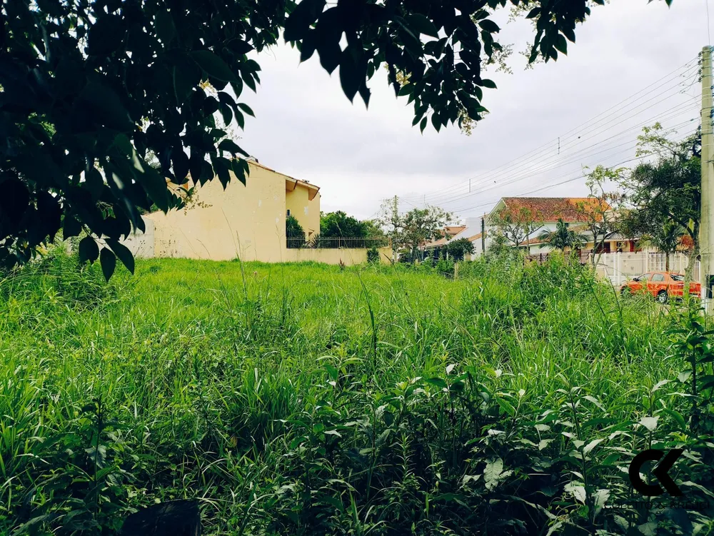 Terreno, 496 m² - Foto 3