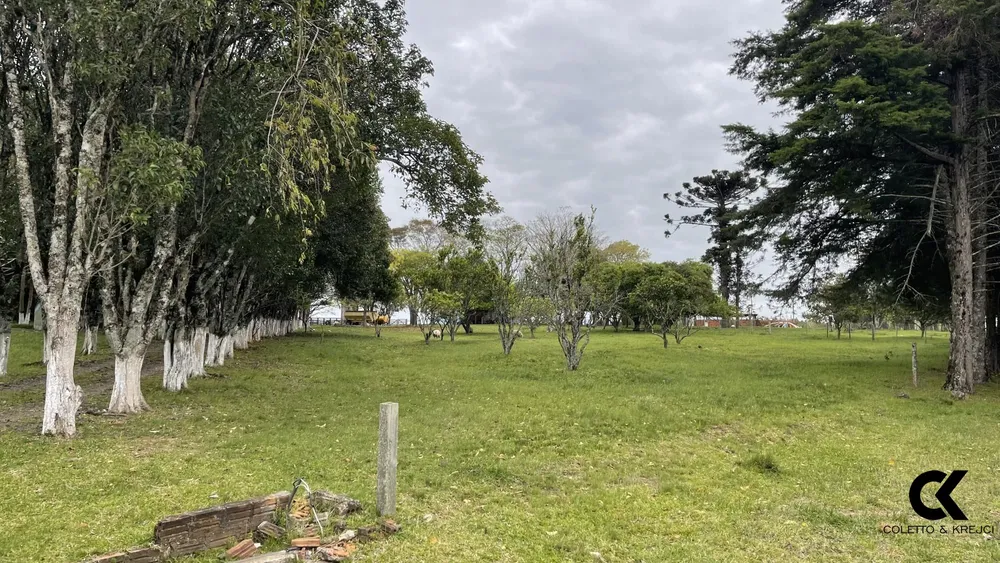 Chácara, 3 quartos, 15 hectares - Foto 3