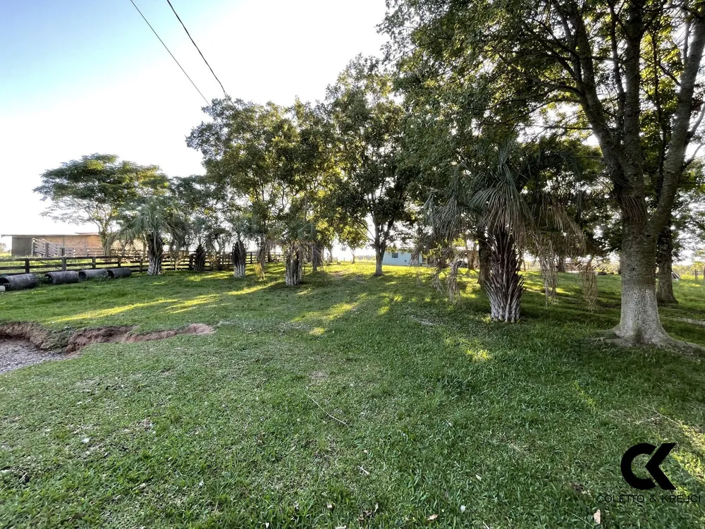 Chácara, 3 quartos, 15 hectares - Foto 10
