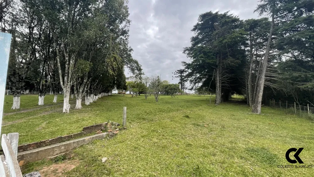 Chácara, 3 quartos, 15 hectares - Foto 4