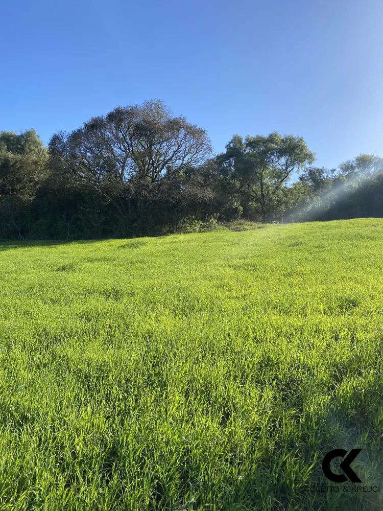 Chácara, 4 hectares - Foto 1