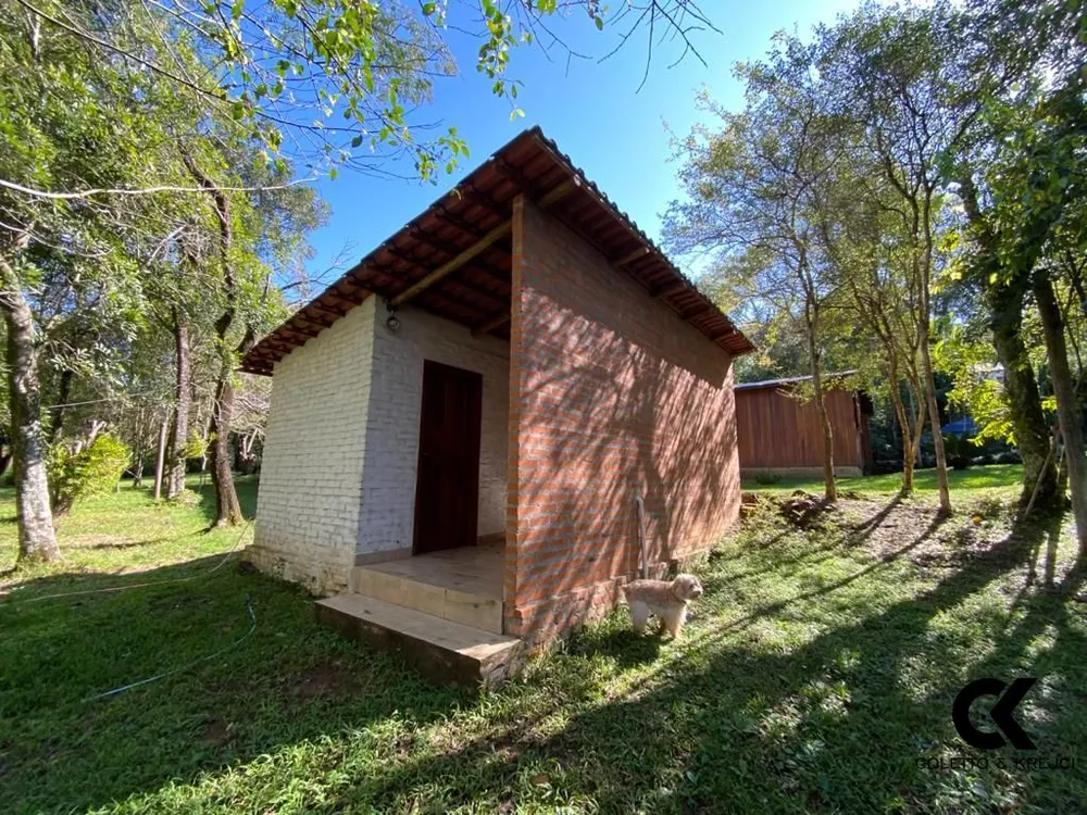Sítio, 4 quartos, 4500 m² - Foto 2