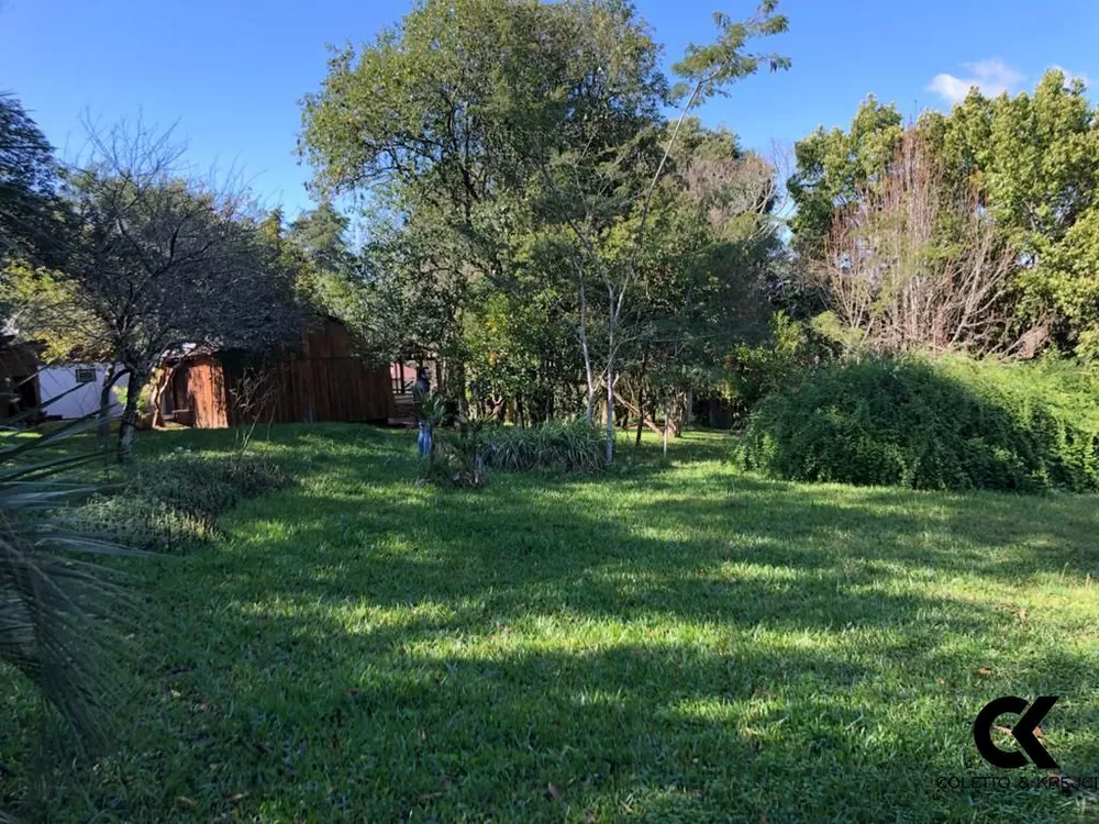 Sítio, 4 quartos, 4500 m² - Foto 3