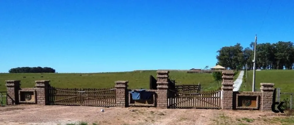 Fazenda, 1600 hectares - Foto 3
