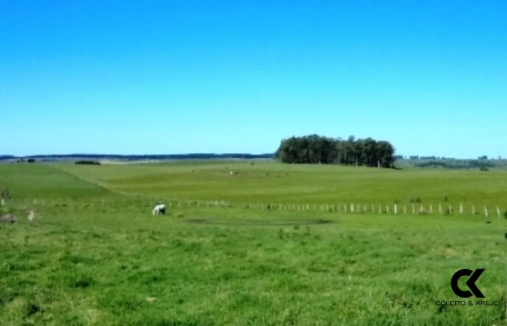 Fazenda, 1600 hectares - Foto 4
