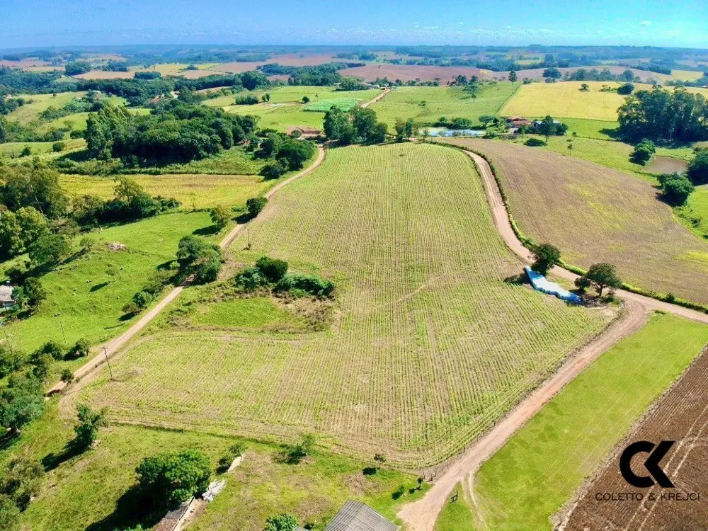 Chácara, 3 hectares - Foto 2