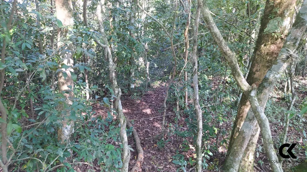 Sítio, 4 hectares - Foto 1