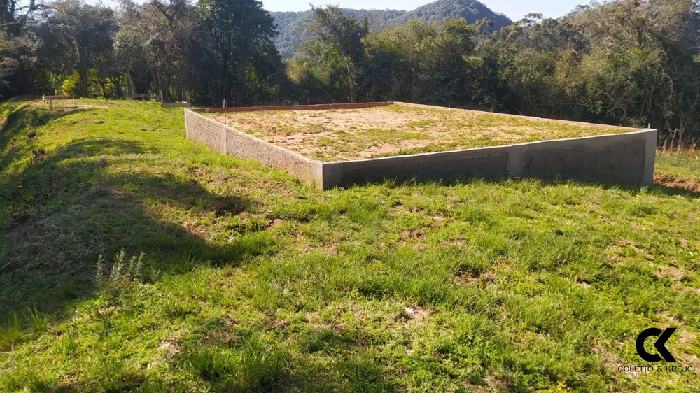 Sítio, 4 hectares - Foto 7