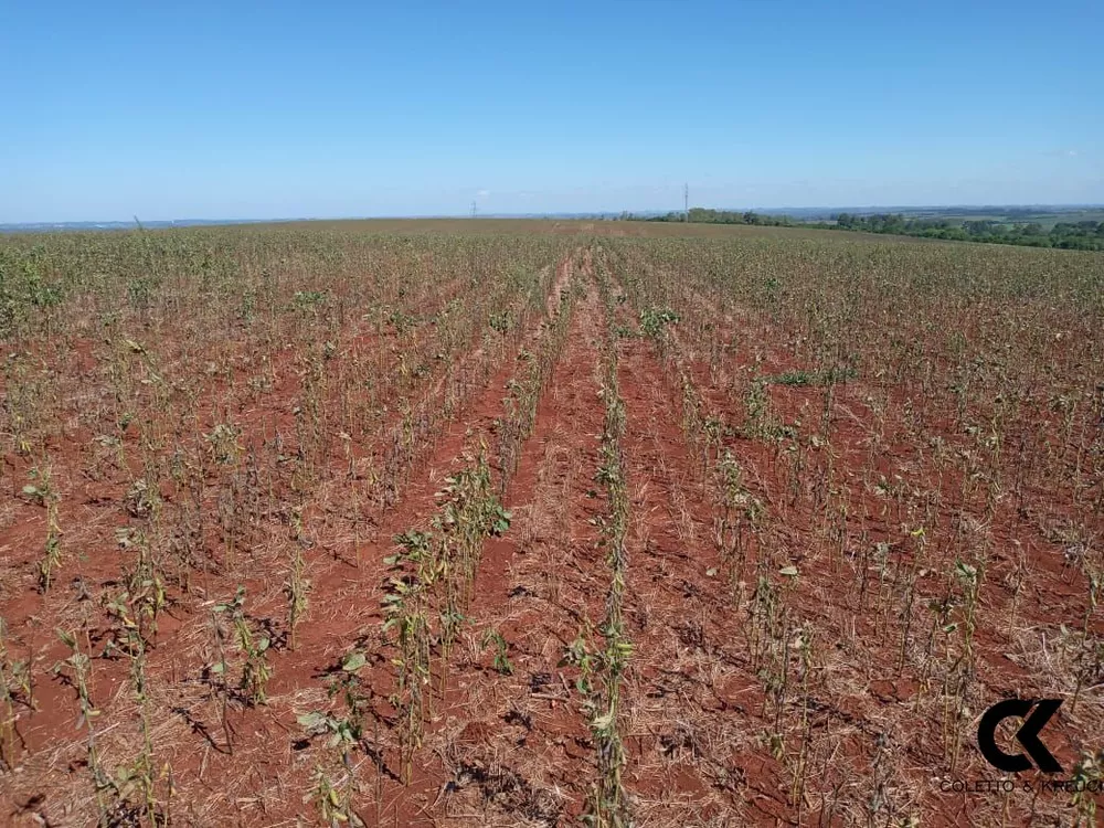Fazenda, 48 hectares - Foto 2