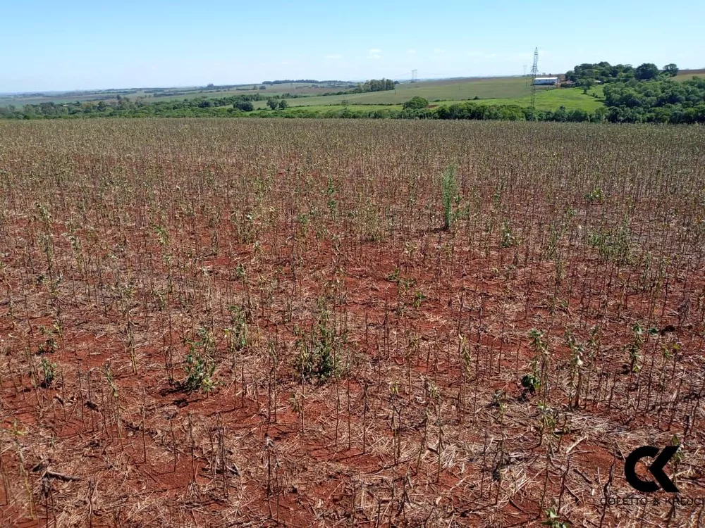 Fazenda, 48 hectares - Foto 1