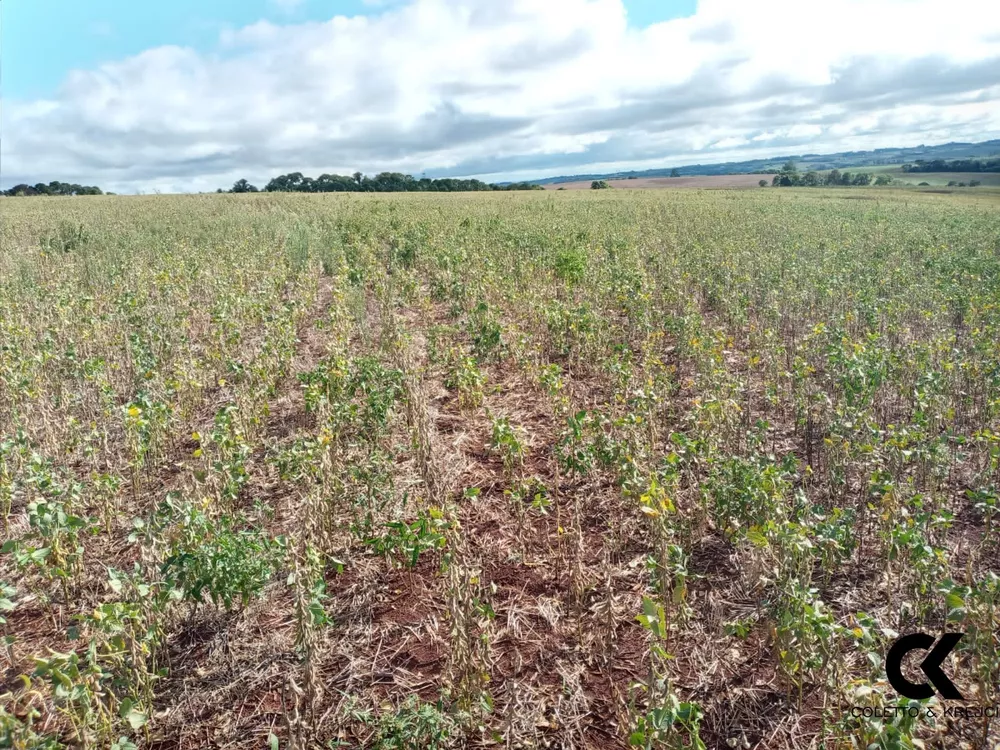 Fazenda, 48 hectares - Foto 3