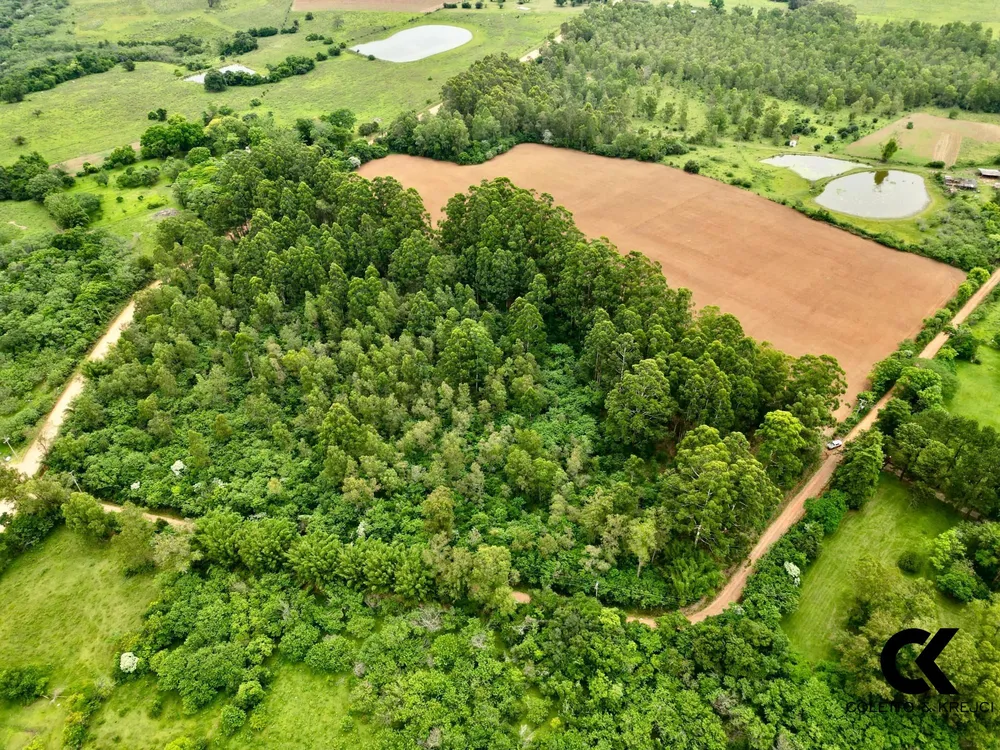 Sítio, 5 hectares - Foto 1