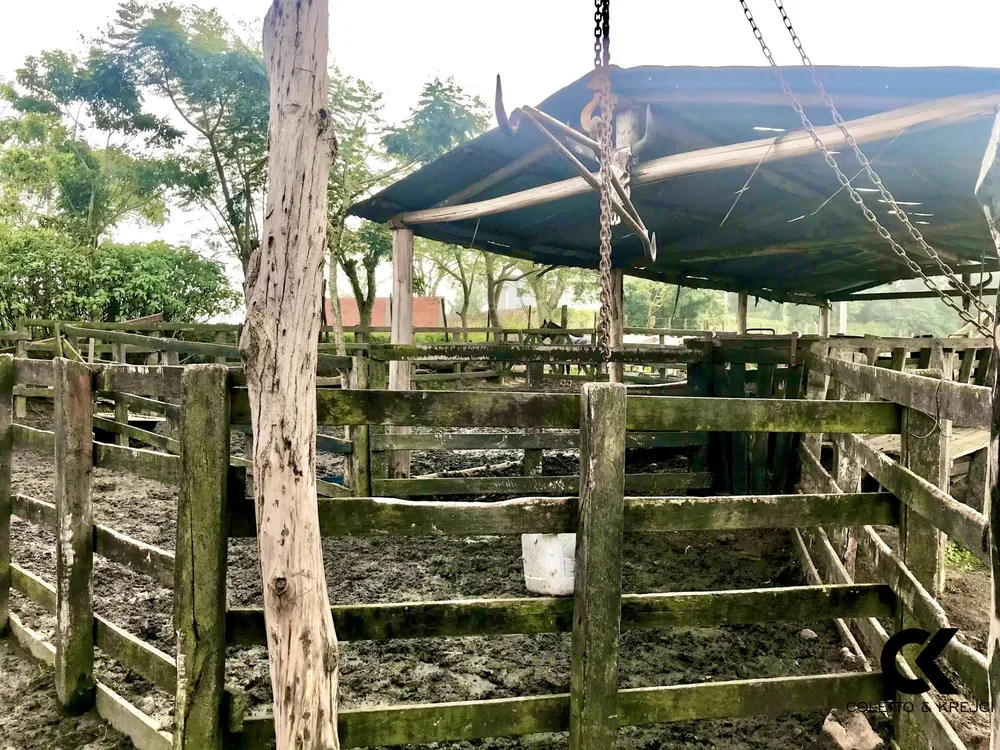 Fazenda, 19 hectares - Foto 1