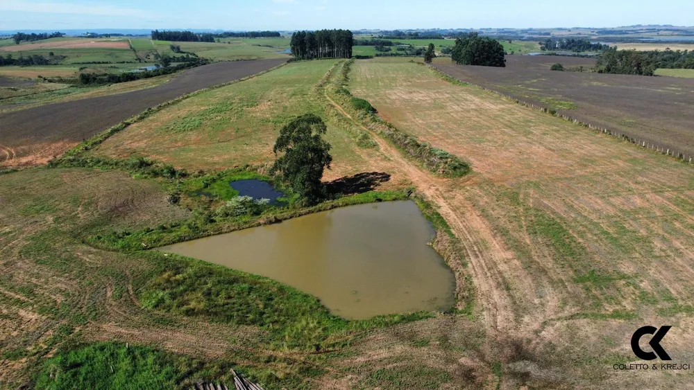 Sítio, 30 hectares - Foto 3
