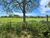 Terreno, 432 m² - Foto 1