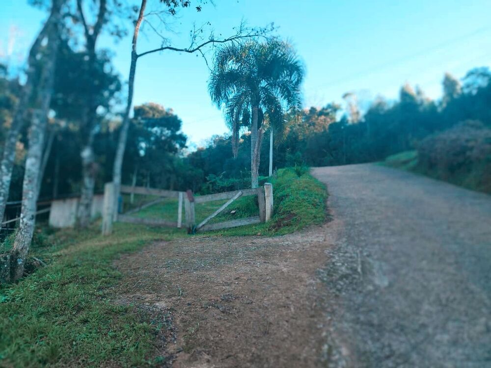 Terreno, 2800 m² - Foto 5