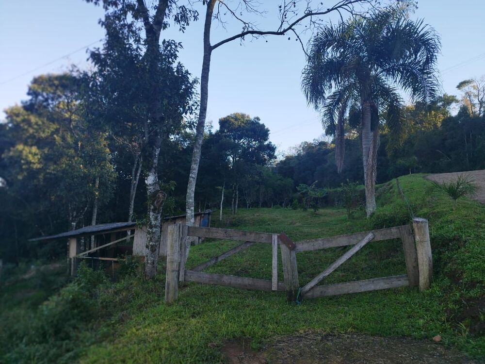 Terreno, 2800 m² - Foto 4