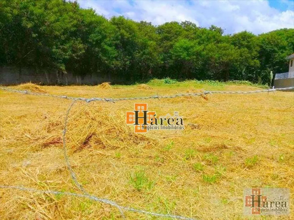 Terreno, 1972 m² - Foto 3
