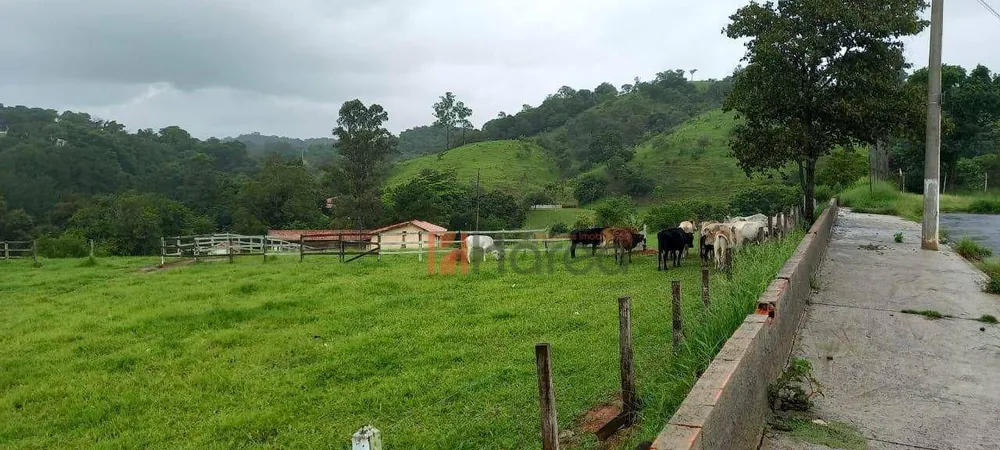 Terreno, 7 hectares - Foto 3