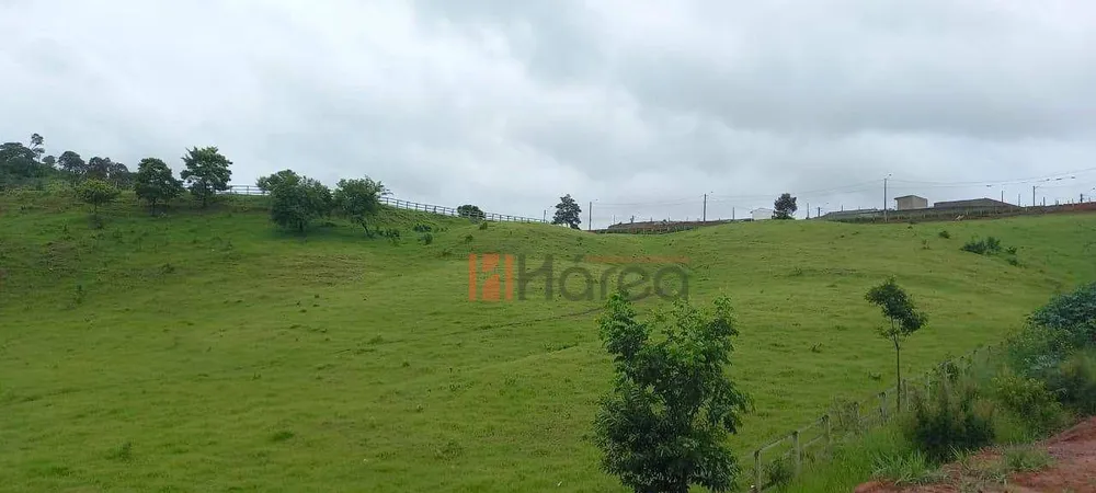 Terreno, 7 hectares - Foto 5