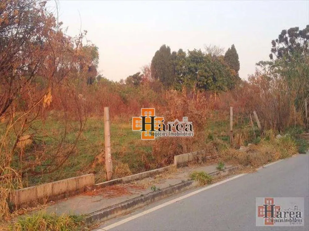 Terreno, 4 hectares - Foto 3