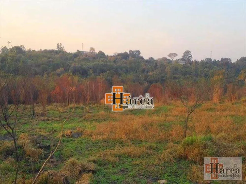 Terreno, 4 hectares - Foto 4