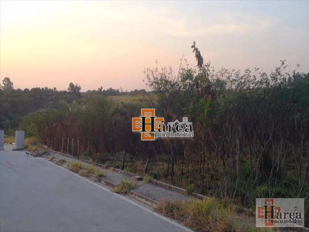 Terreno, 4 hectares - Foto 1