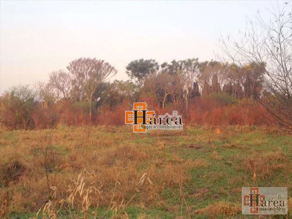 Terreno, 4 hectares - Foto 2