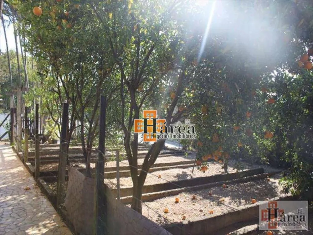 Casa, 4 quartos, 374 m² - Foto 9