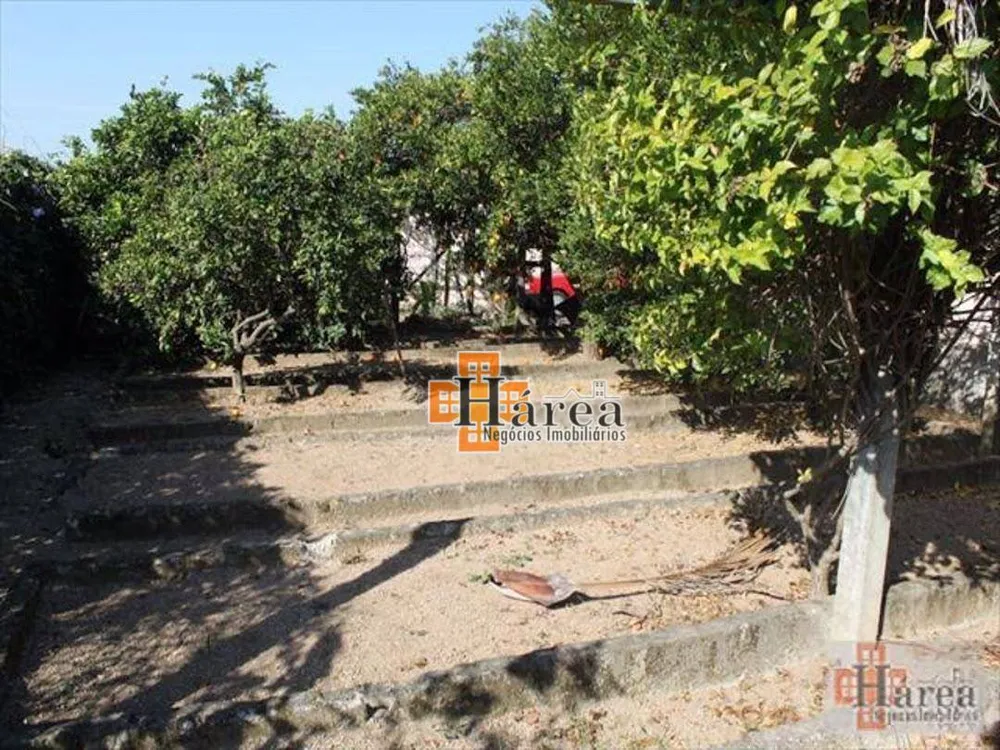 Casa, 4 quartos, 374 m² - Foto 12