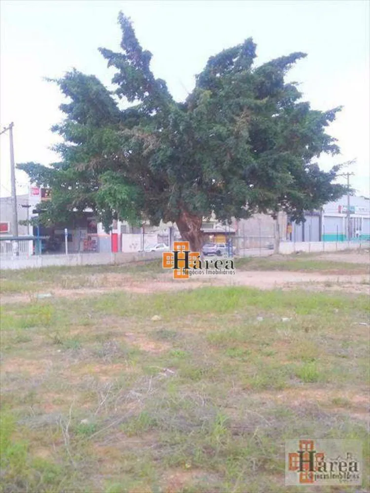 Terreno, 1650 m² - Foto 3