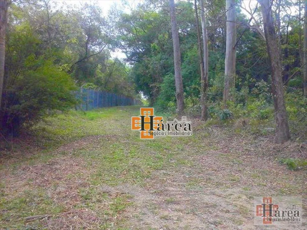 Terreno, 16 hectares - Foto 2