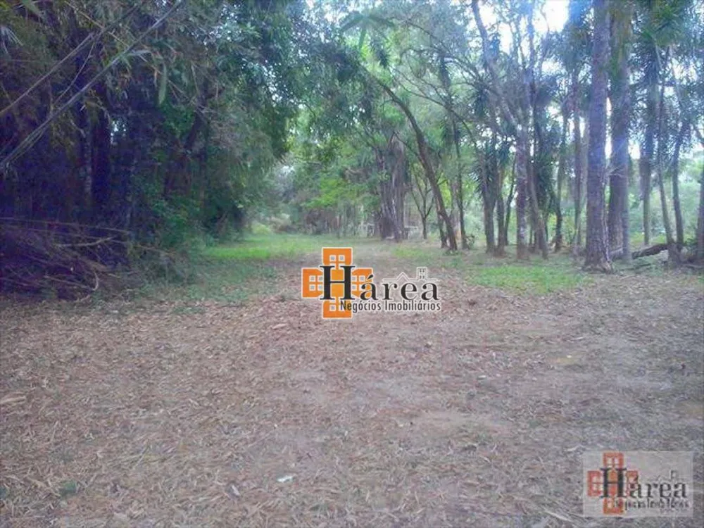 Terreno, 16 hectares - Foto 7