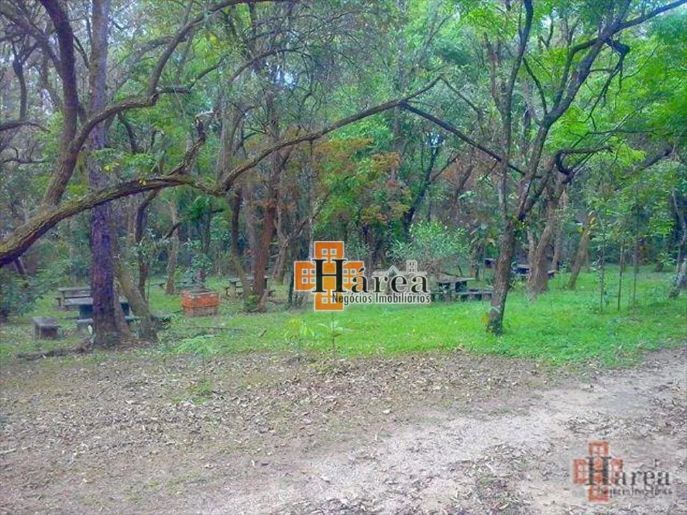 Terreno, 16 hectares - Foto 3