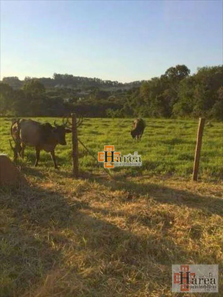 Terreno, 10000 m² - Foto 3